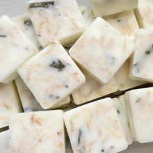 Load image into Gallery viewer, Frosted Eucalyptus Botanical Wax Melts
